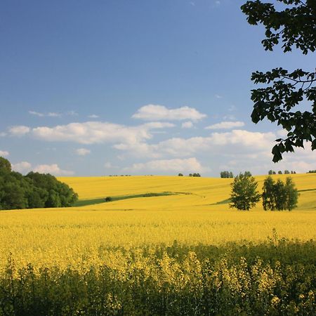 Fewo Am Geyersberg Oberschöna Exteriér fotografie