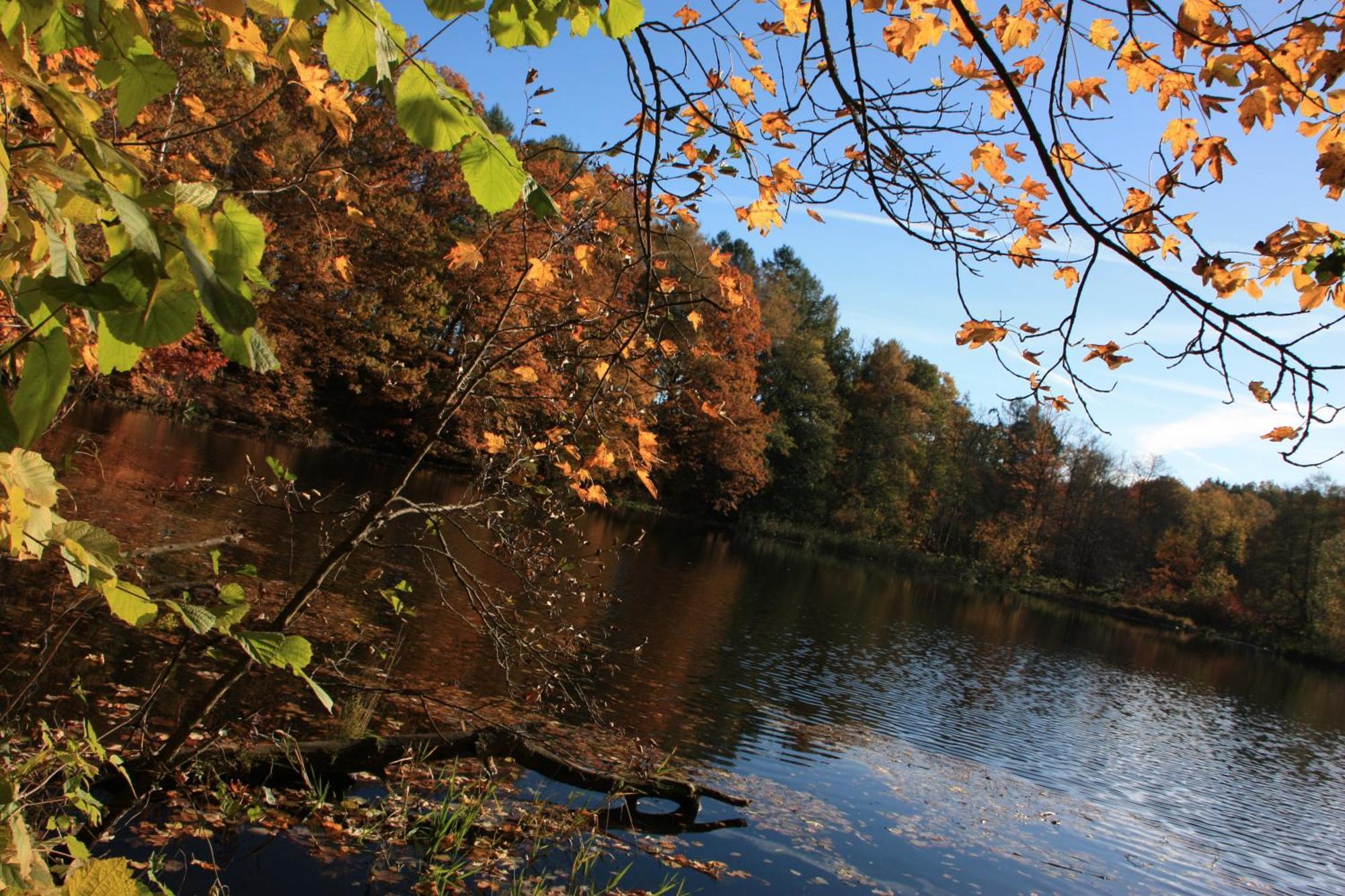 Fewo Am Geyersberg Oberschöna Exteriér fotografie
